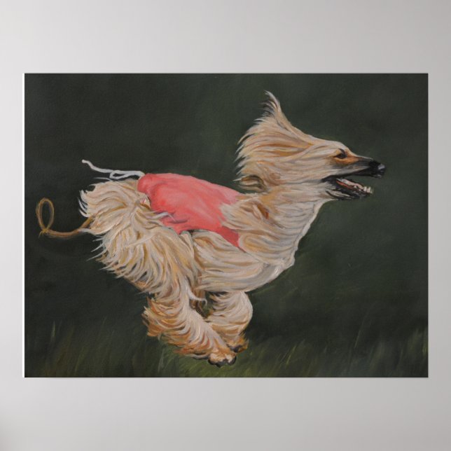 Afghan Hound Coursing Reproduction Poster Art (Devant)