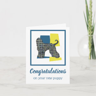 Afghan Hound Dog Funny Congratulations Greeting Card