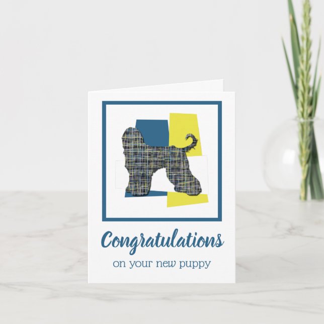 Afghan Hound Dog Funny Congratulations Greeting Card (Front)