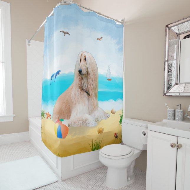 Afghan Hound Dog on Beach (In Situ)