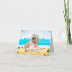 Afghan Hound Dog on Beach Card