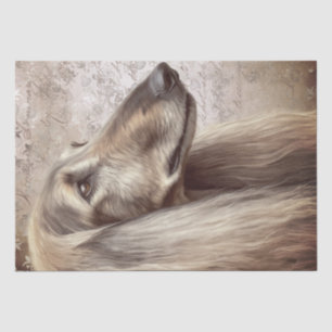 Afghan Hound Dog Tissue Paper