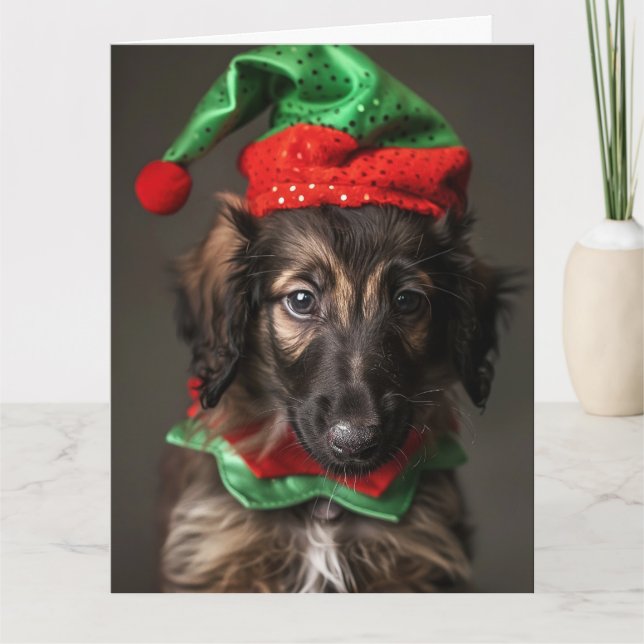 Afghan Hound Elf Puppy Christmas Card  (Front)
