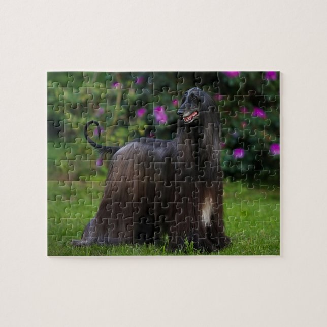 Afghan Hound Jigsaw Puzzle (Horizontal)
