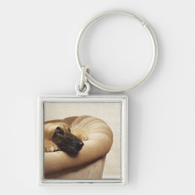 Afghan hound lying on sofa keychain (Front)