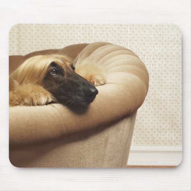 Afghan hound lying on sofa mouse pad (Front)