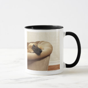 Afghan hound lying on sofa mug