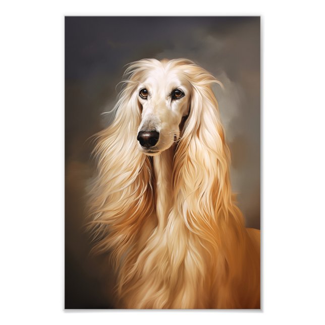 Afghan Hound Photo Print (Front)