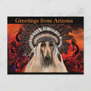 Afghan Hound Postcard