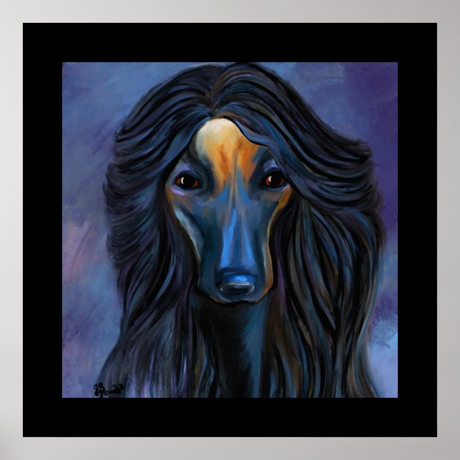Afghan Hound  Poster (Front)