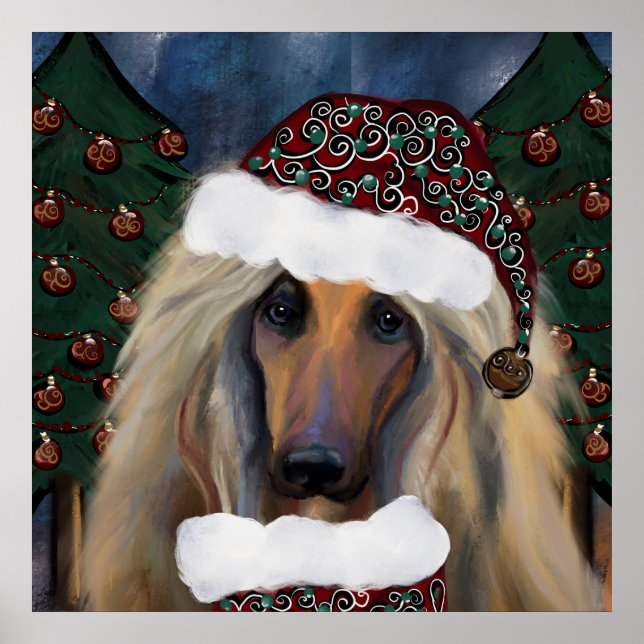 AFGHAN HOUND POSTER (Front)