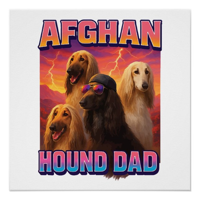Afghan Hound Poster (Front)