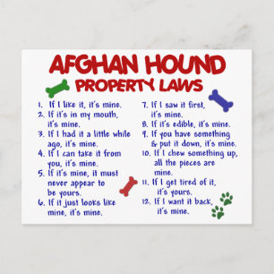 Afghan Hound Property Laws 2 Postcard