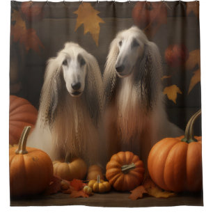 afghan hound Puppy Autumn Delight Pumpkin