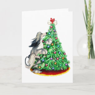 Afghan Hound Reach Goals Domino Blue Cream Holiday Card