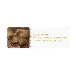 Afghan Hound Return Address Label