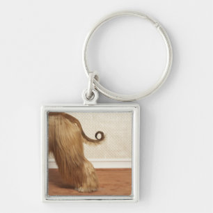 Afghan hound standing in room, end section keychain