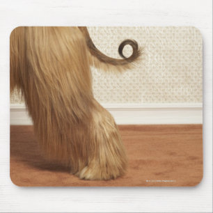 Afghan hound standing in room, end section mouse pad