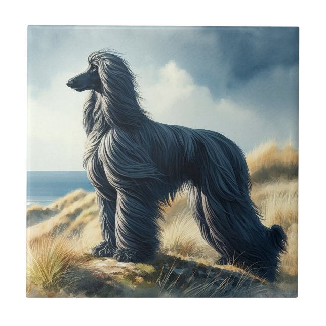 Afghan Hound Tile (Front)