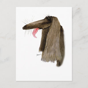 Afghan Hound, tony fernandes Postcard