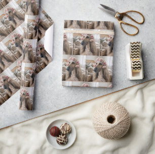 Afghan Hound Wearing Pink Sponge Curlers Wrapping Paper