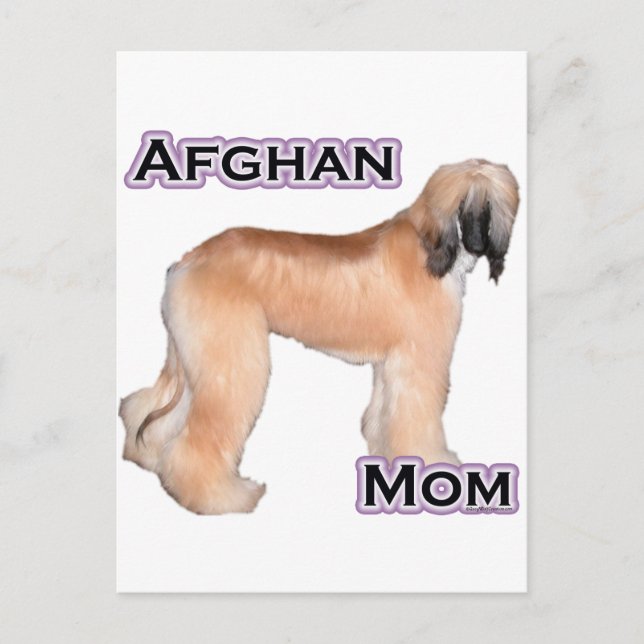 Afghan Mom 4 Postcard (Front)