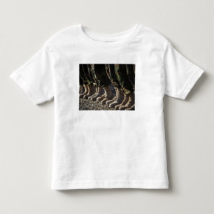 Afghan National Army Air Corp Soldiers Toddler T-shirt