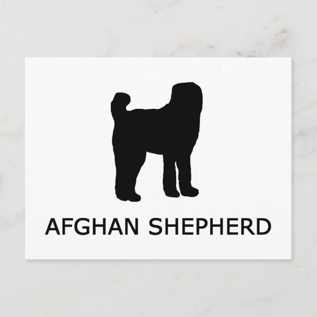 afghan shepherd silo w name postcard (Front)