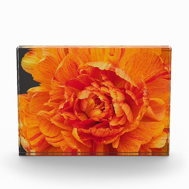 Aflame Photo Block (Front)