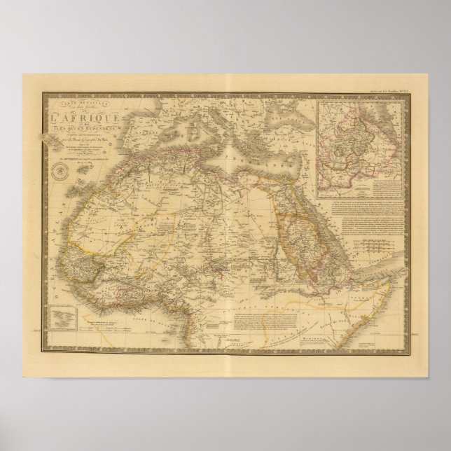 Africa 20 poster (Front)