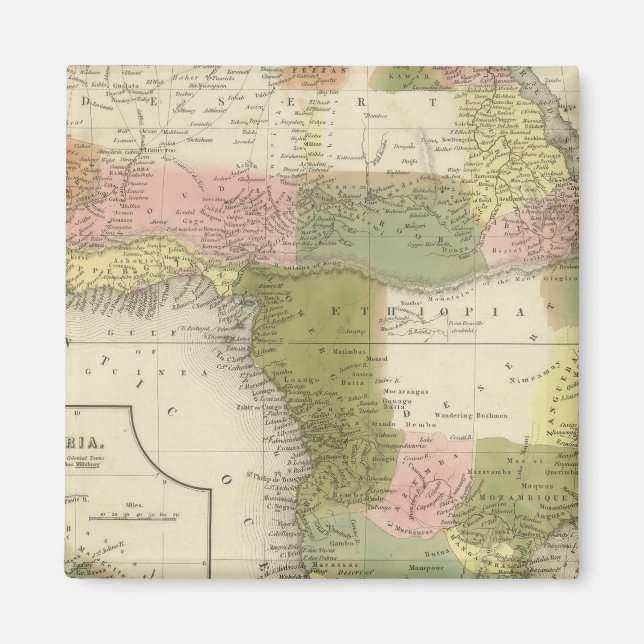 Africa 25 magnet (Front)