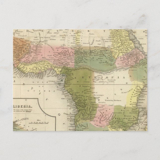 Africa 25 postcard (Front)