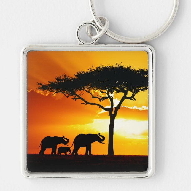 Africa 2  Keychain (Front)
