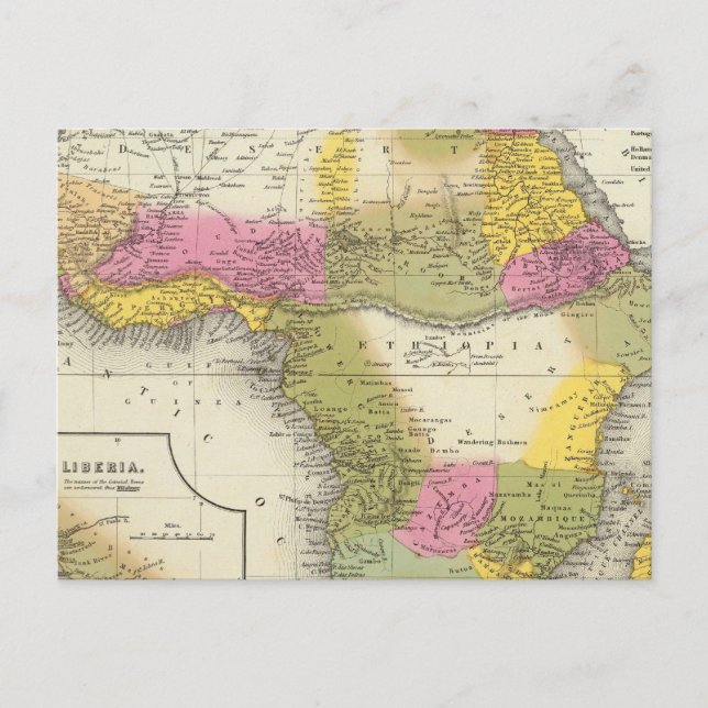 Africa 36 postcard (Front)