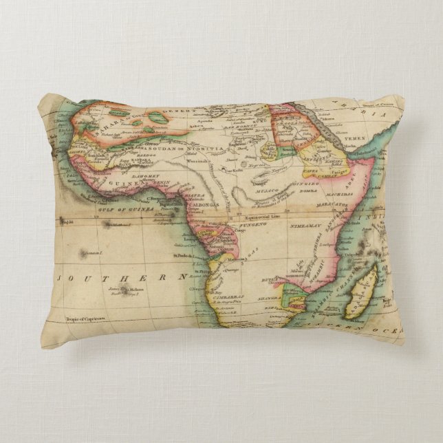 Africa 43 accent pillow (Front)