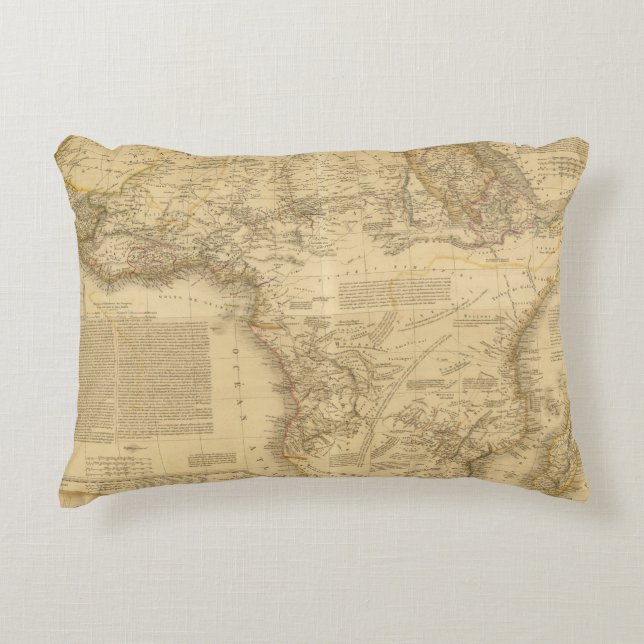 Africa 5 accent pillow (Front)