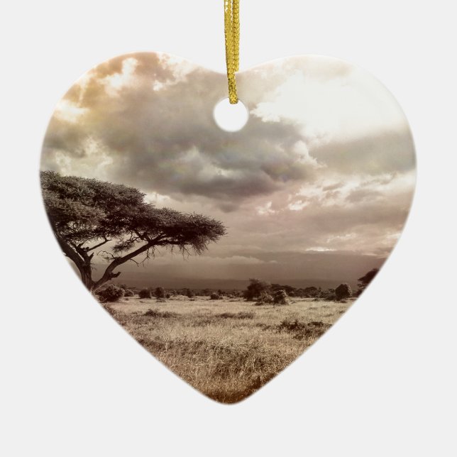 africa-944-land-wild-nature ceramic ornament (Front)