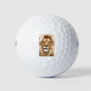 Africa African Animal Lion Close-Up Detail Eye Golf Balls