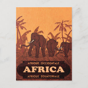 Africa, African Elephants on Palm Trees, vintage Postcard