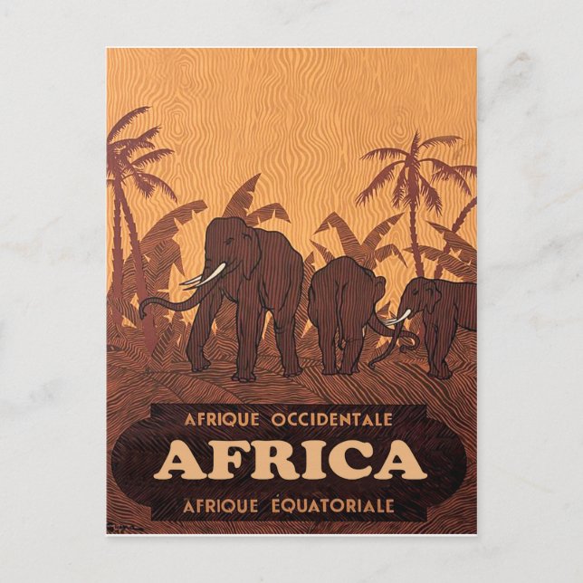 Africa, African Elephants on Palm Trees, vintage Postcard (Front)
