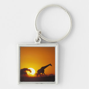 Africa, Botswana, Chobe National Park, Giraffe 2 Keychain