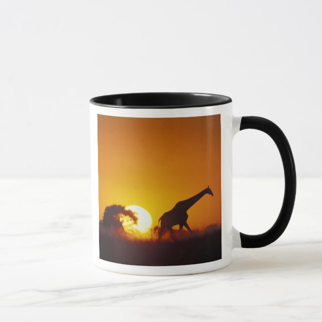 Africa, Botswana, Chobe National Park, Giraffe 2 Mug (Right)