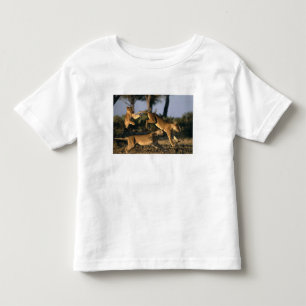 Africa, Botswana, Chobe National Park, Lionesses Toddler T-shirt