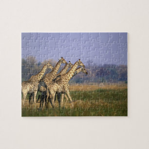 Africa, Botswana, Moremi Game Reserve Jigsaw Puzzle