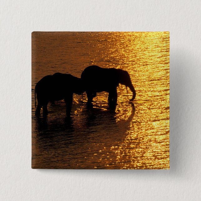 Africa, Botswana, Okavango Delta. African 2 Inch Square Button (Front)