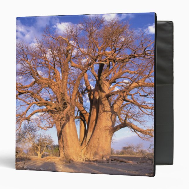 Africa, Botswana, Okavango Delta. Baobab Binder (Front/Inside)