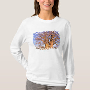 Africa, Botswana, Okavango Delta. Baobab T-Shirt