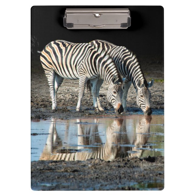 Africa,Botswana, Okavango Delta, Davison Camp Clipboard (Front)