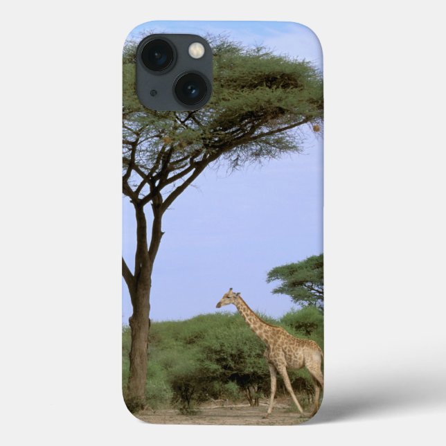 Africa, Botswana, Okavango Delta. Southern Case-Mate iPhone Case (Back)