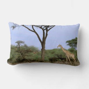 Africa, Botswana, Okavango Delta. Southern Lumbar Pillow